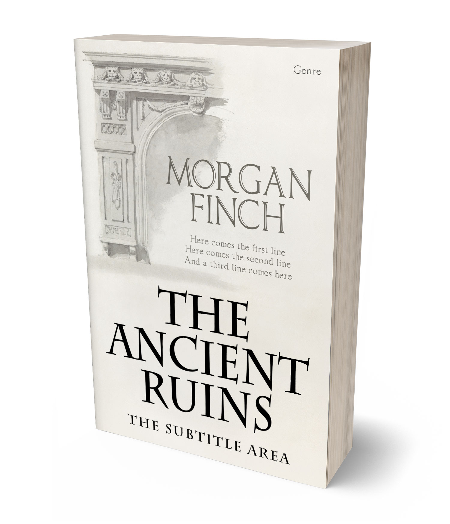 3D view of Premade Historical Book Cover - Pampas #36812 | BookCoverZone*