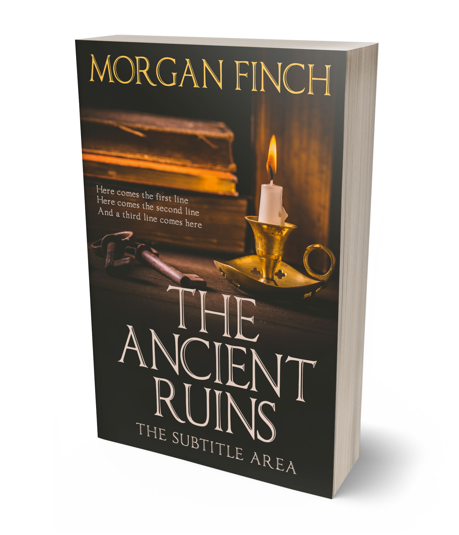 3D view of Premade Historical Book Cover - Birch #36813 | BookCoverZone*
