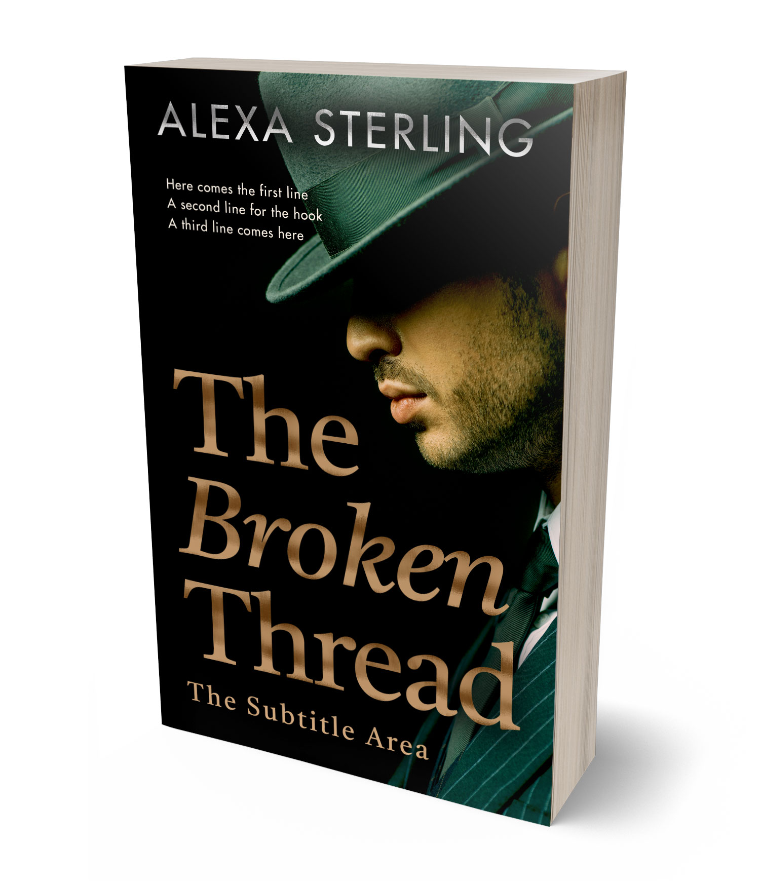 3D view of Premade Mystery & Thriller & Suspense Book Cover - Muesli #36967 | BookCoverZone