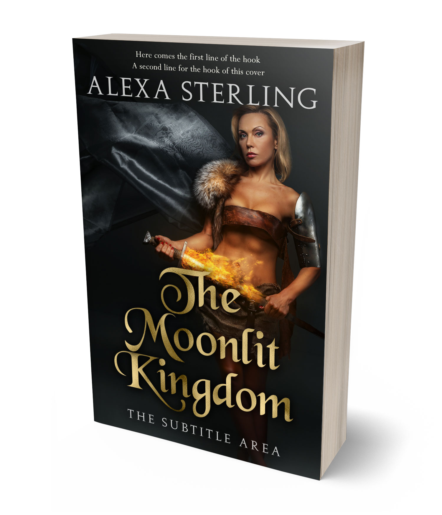 3D view of Premade Fantasy Book Cover - Cod Gray #37007 | BookCoverZone*