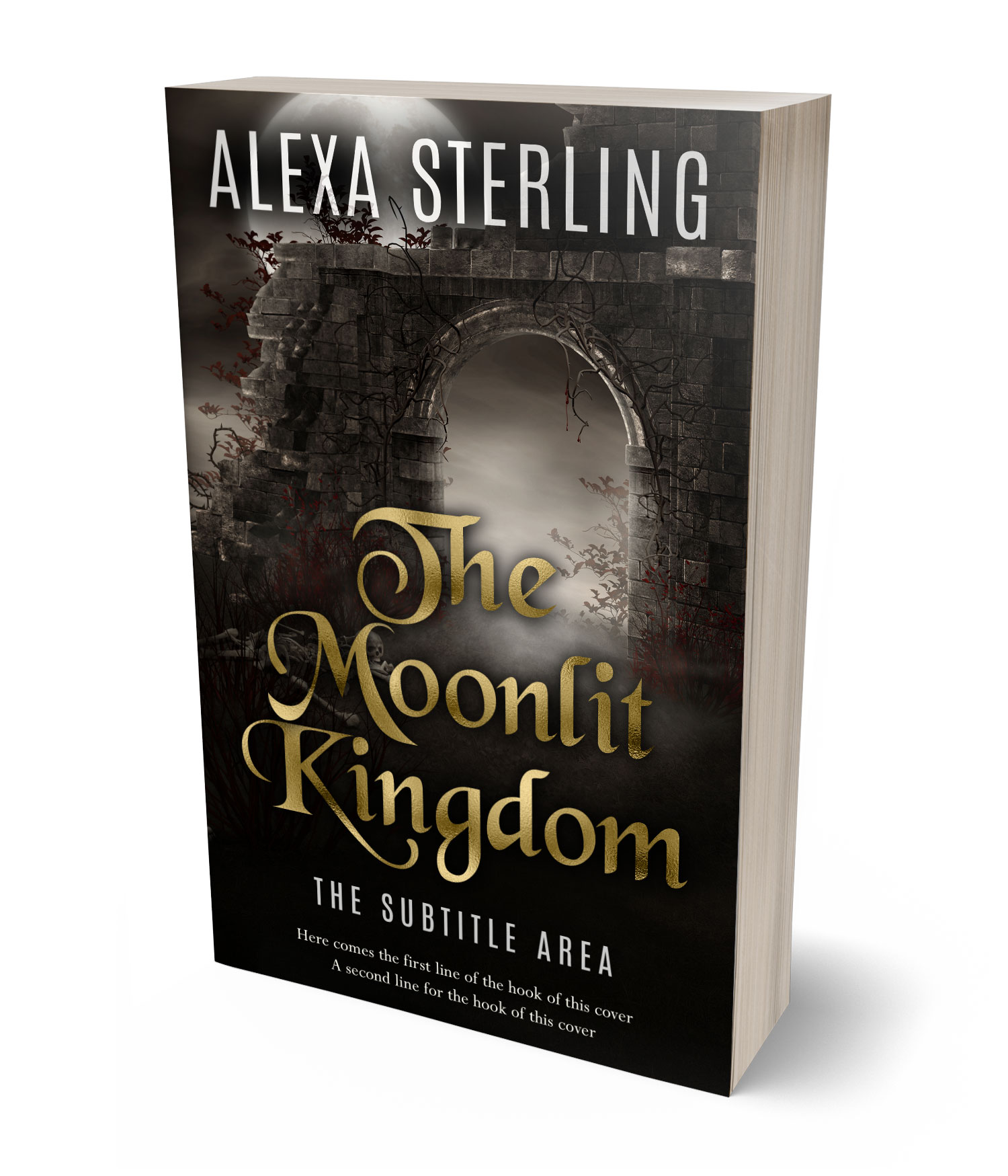 3D view of Premade Fantasy Book Cover - Zeus #37010 | BookCoverZone