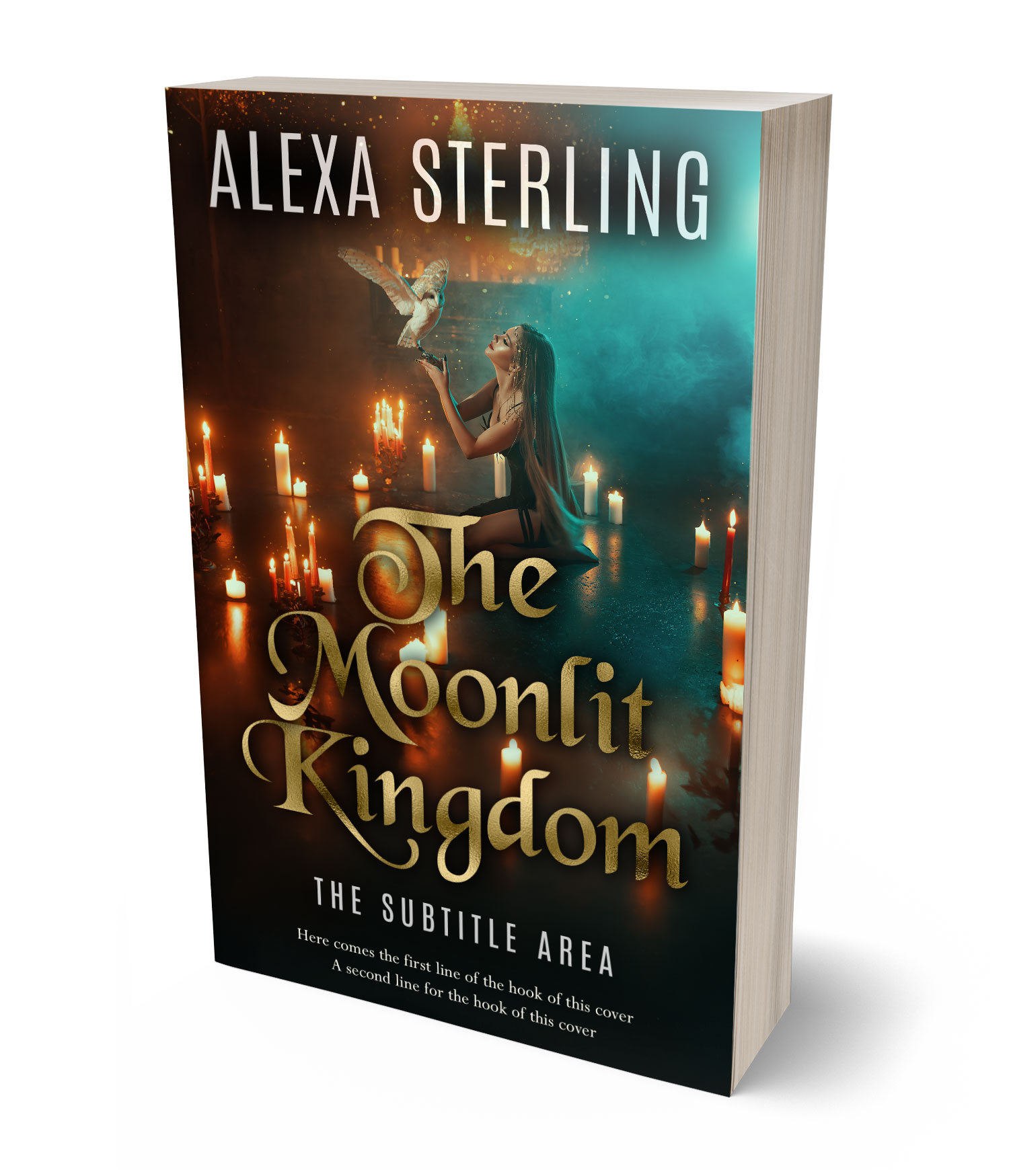 3D view of Premade Fantasy Book Cover - Log Cabin #37011 | BookCoverZone*