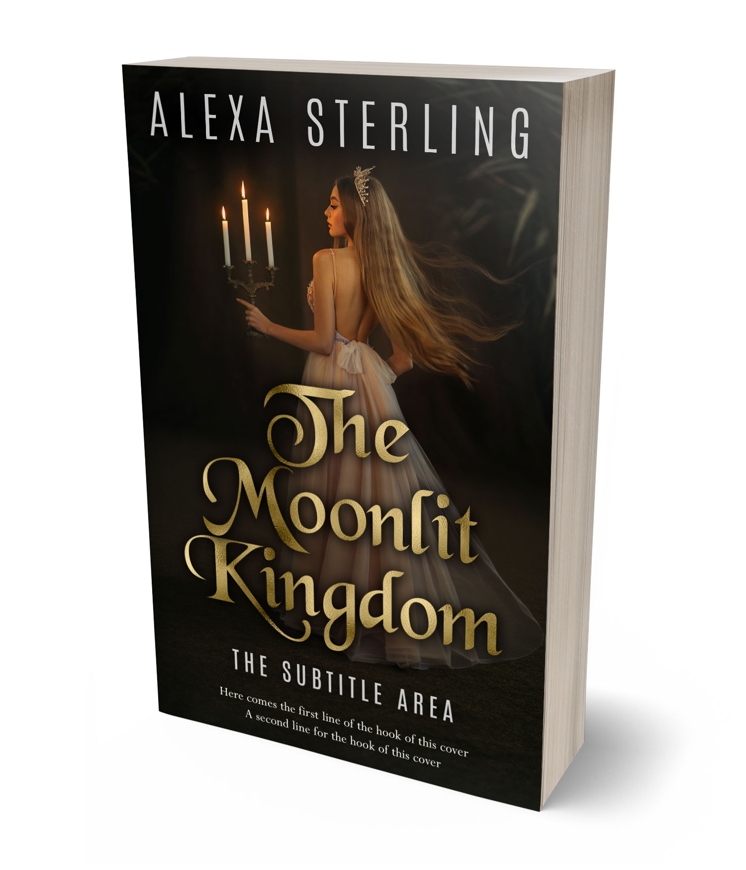 3D view of Premade Fantasy Book Cover - Oil #37013 | BookCoverZone*