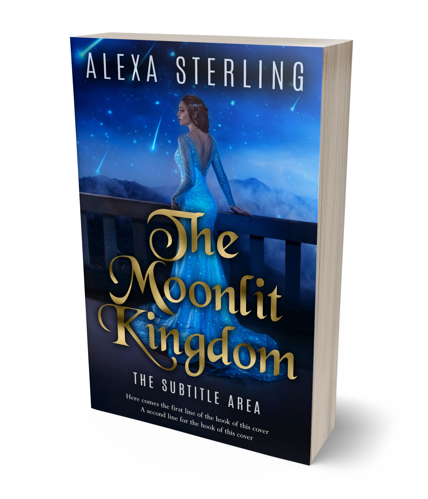 3D view of Premade Fantasy Book Cover - Ebony #37014 | BookCoverZone*