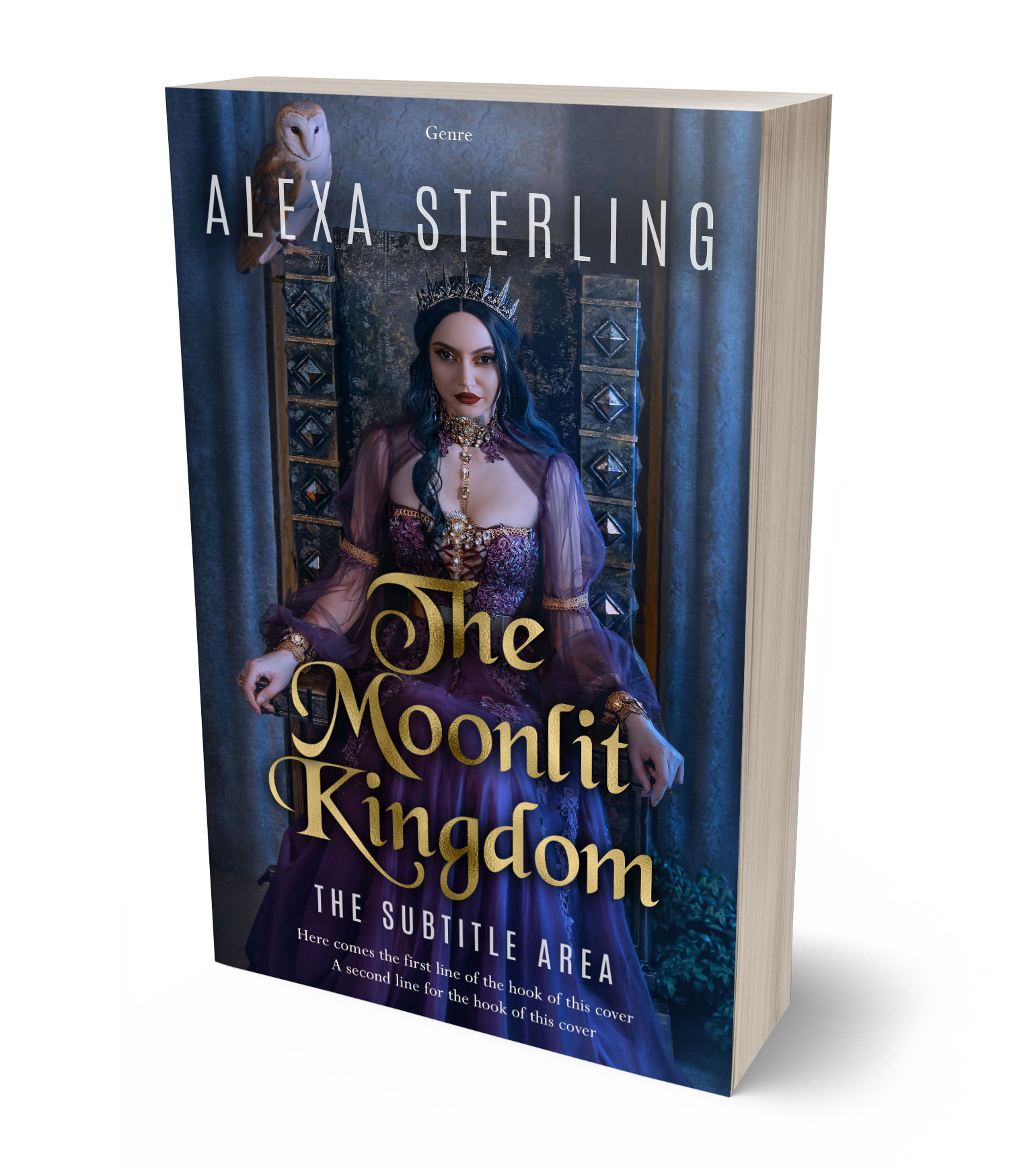 3D view of Premade Fantasy Book Cover - Ebony Clay #37017 | BookCoverZone*