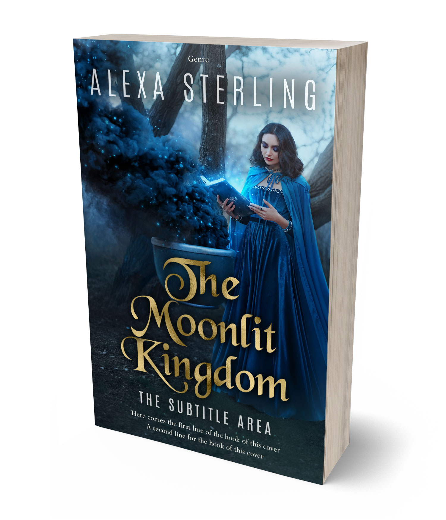 3D view of Premade Fantasy Book Cover - Big Stone #37018 | BookCoverZone*
