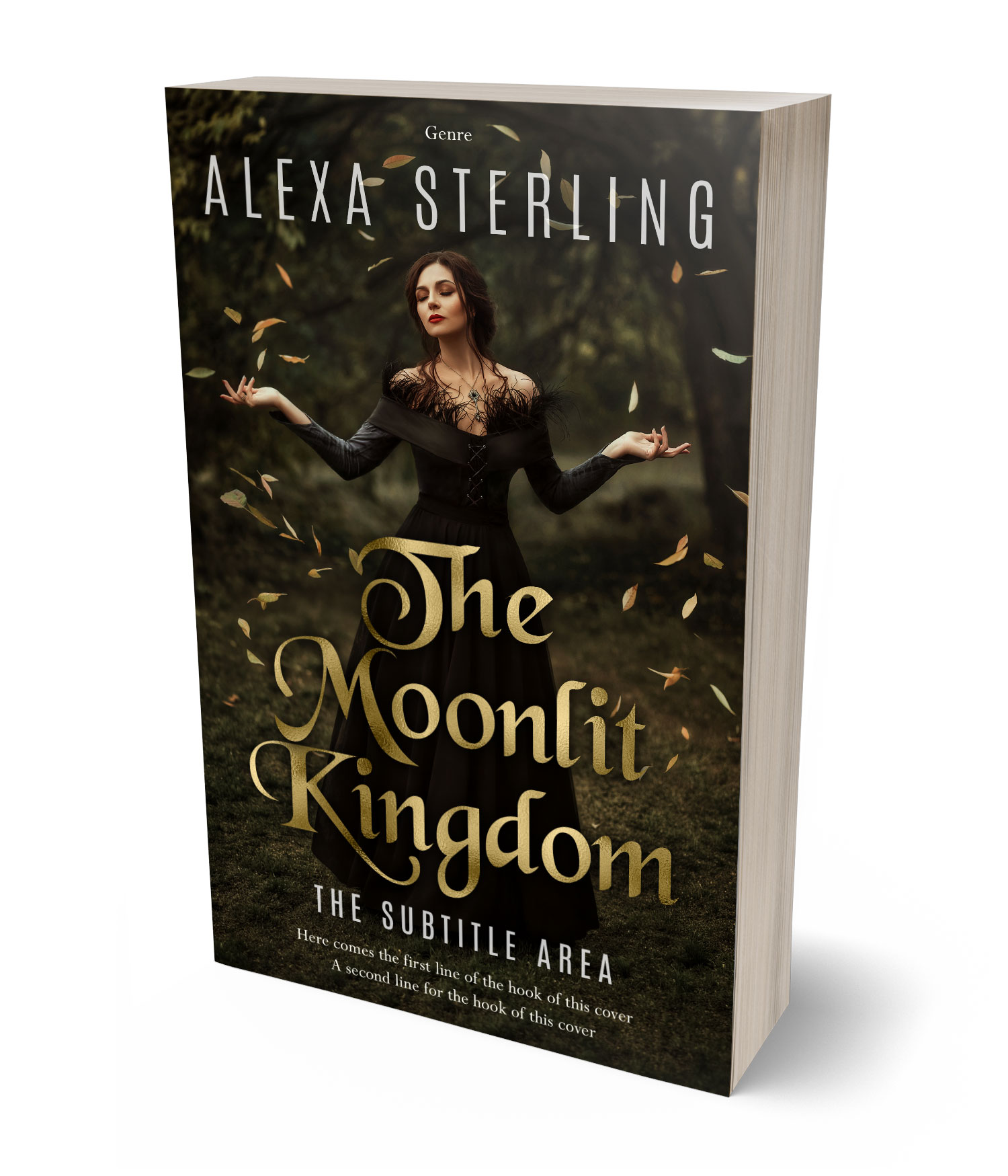 3D view of Premade Fantasy Book Cover - Eternity #37019 | BookCoverZone*