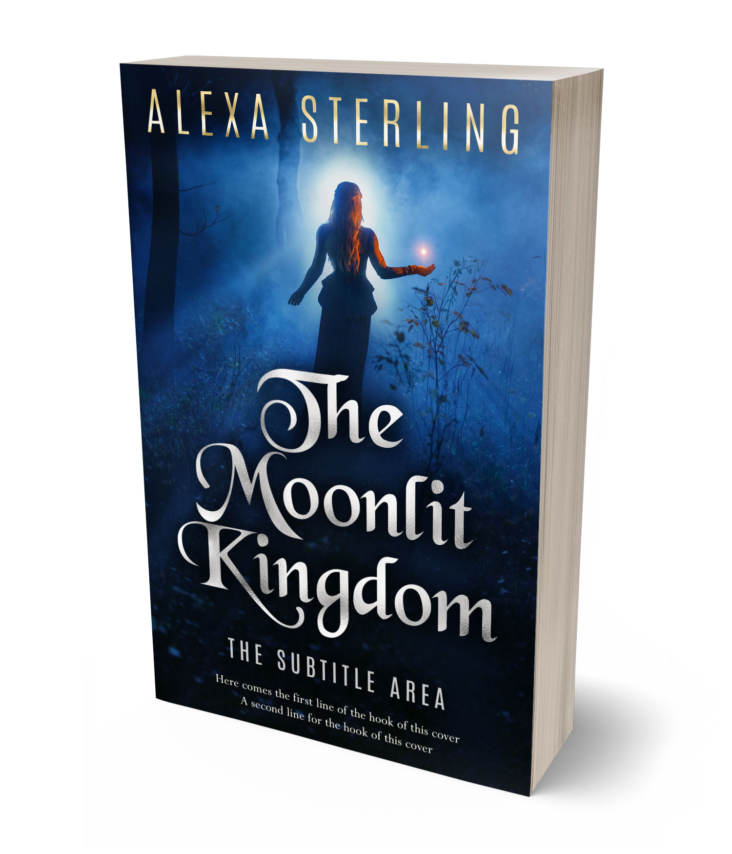 3D view of Premade Fantasy Book Cover - Firefly #37025 | BookCoverZone*