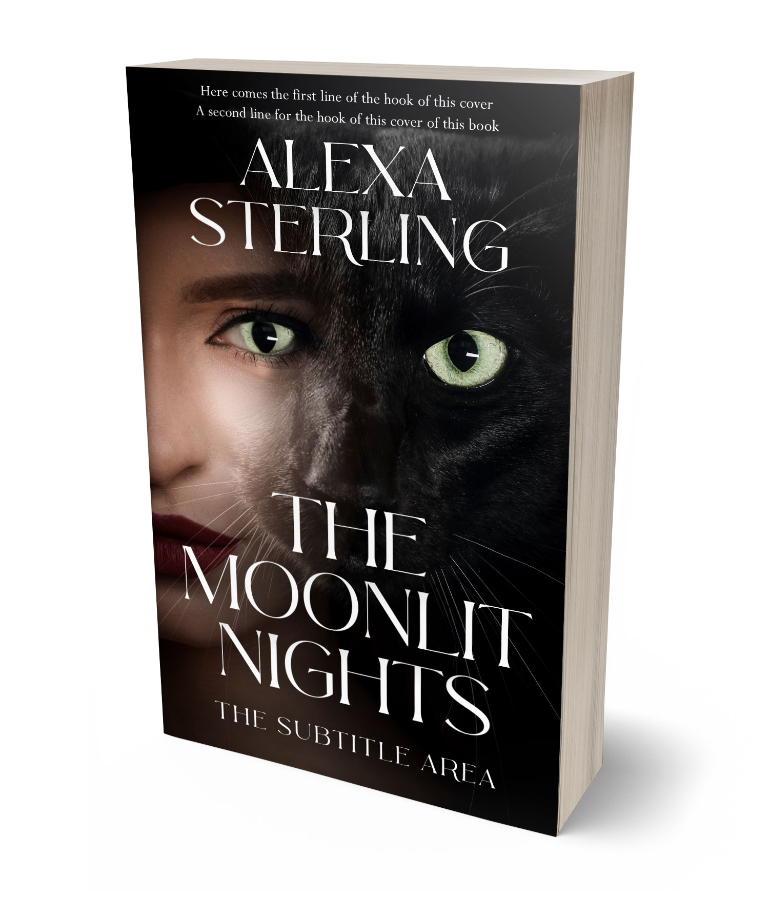 3D view of Premade Paranormal & Urban Book Cover - Cocoa Brown #37090 | BookCoverZone*