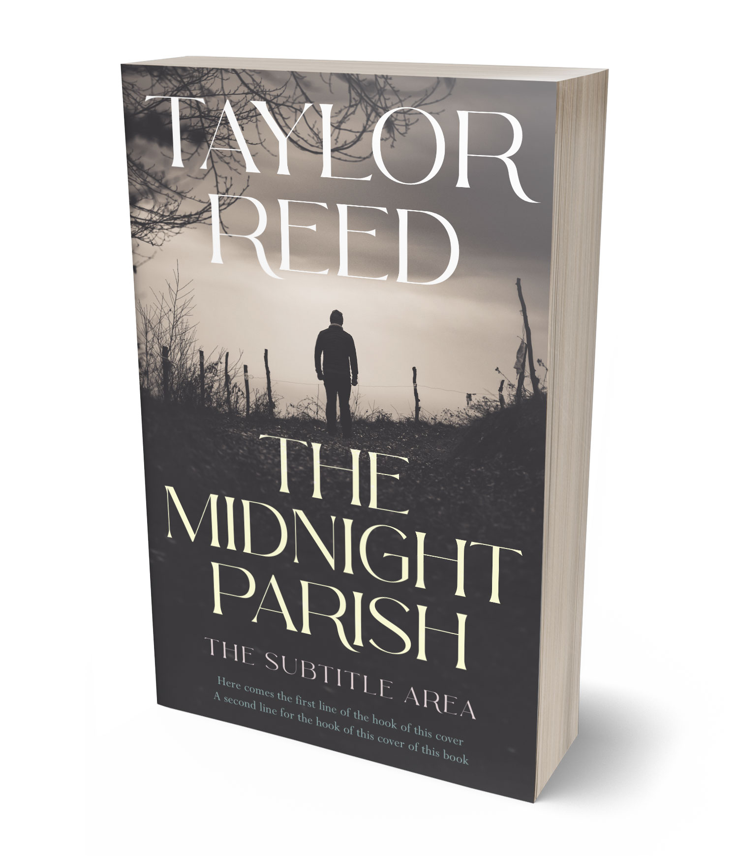 3D view of Premade Mystery & Thriller & Suspense Book Cover - Tundora #37094 | BookCoverZone