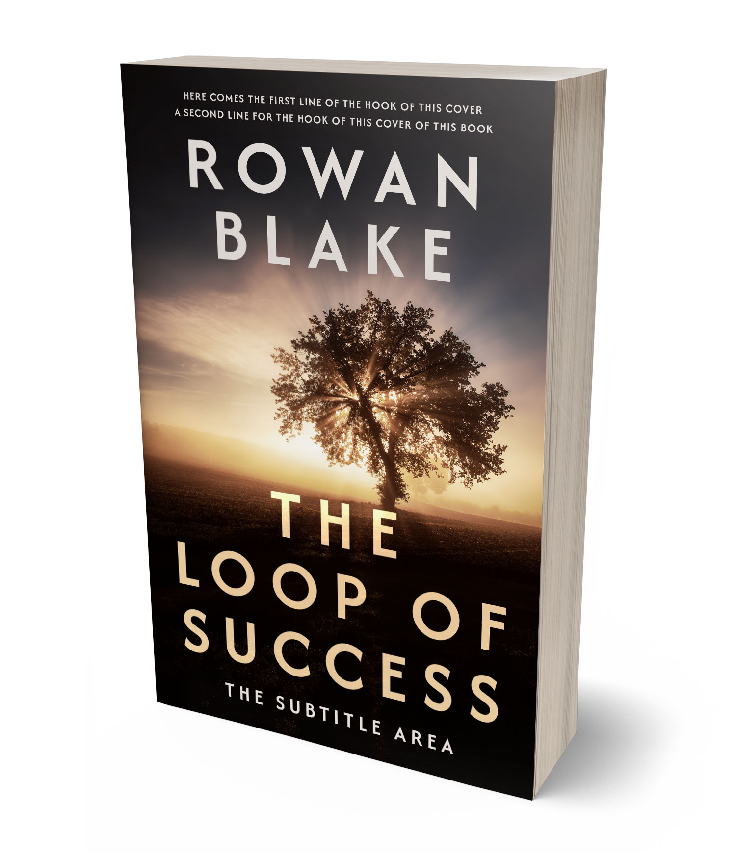 3D view of Premade Mystery & Thriller & Suspense Book Cover - Cameo #37265 | BookCoverZone
