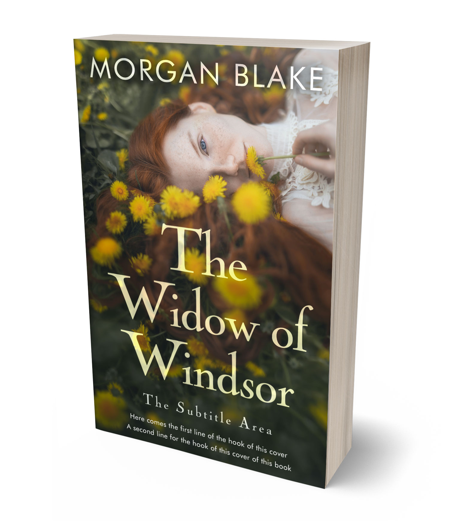 3D view of Premade Romance Book Cover - Birch #37336 | BookCoverZone