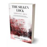 3D view of Premade Romance Book Cover - Dust Storm