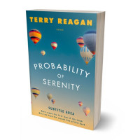 3D view of Premade Literary Fiction Book Cover - Ming