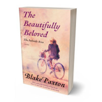 3D view of Premade Teen & Young Adult Book Cover - Mandys Pink