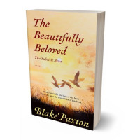 Tablet view of Chalky #50063 - Premade Literary Fiction Book Cover