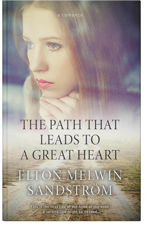 Front view of Premade Romance Book Cover - Bronco