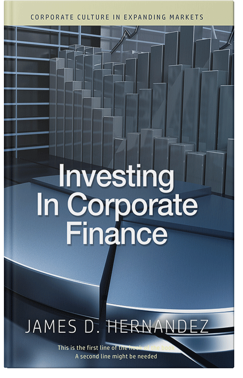 Front view of Premade Business Book Cover - Fiord