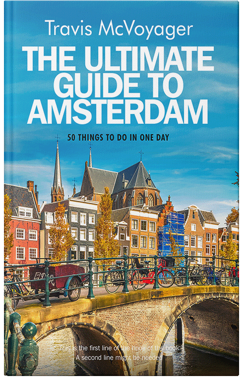 Front view of Premade Travel Book Cover - Curious Blue