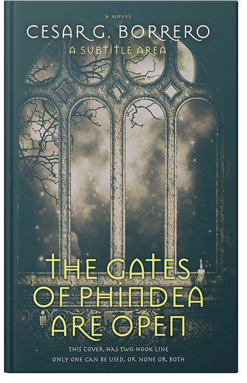 Front view of Premade Fantasy Book Cover - Limed Spruce