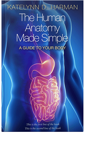 Pre Made Book Cover Torea Bay