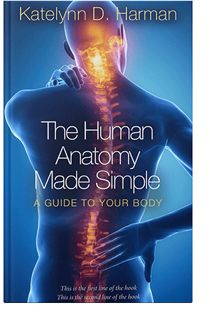 Pre Made Book Cover Chathams Blue