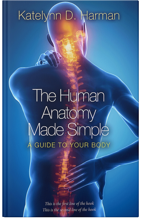 Front view of Premade Health & Mind & Body Book Cover - Chathams Blue