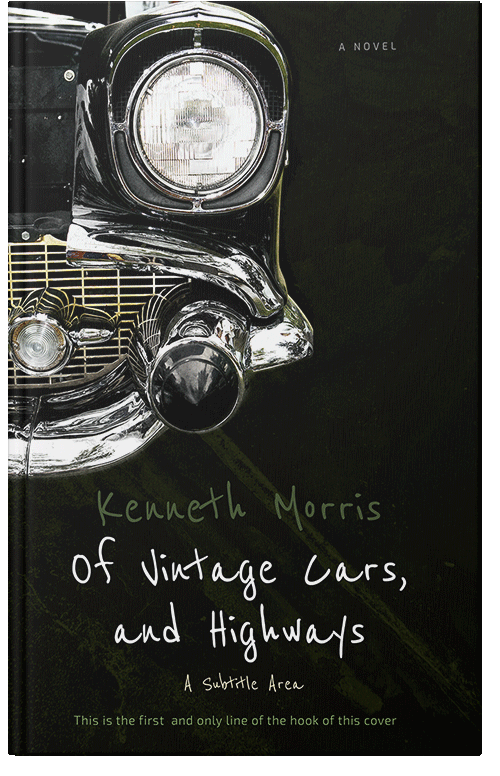 Front view of Premade Historical Book Cover - Marshland