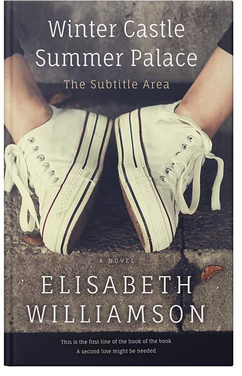 Front view of Premade Literary Fiction Book Cover - Gravel