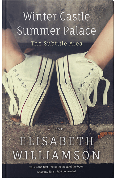 Front view of Premade Teen & Young Adult Book Cover - Gravel