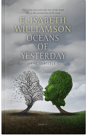 Premade Book Cover Gray Chateau