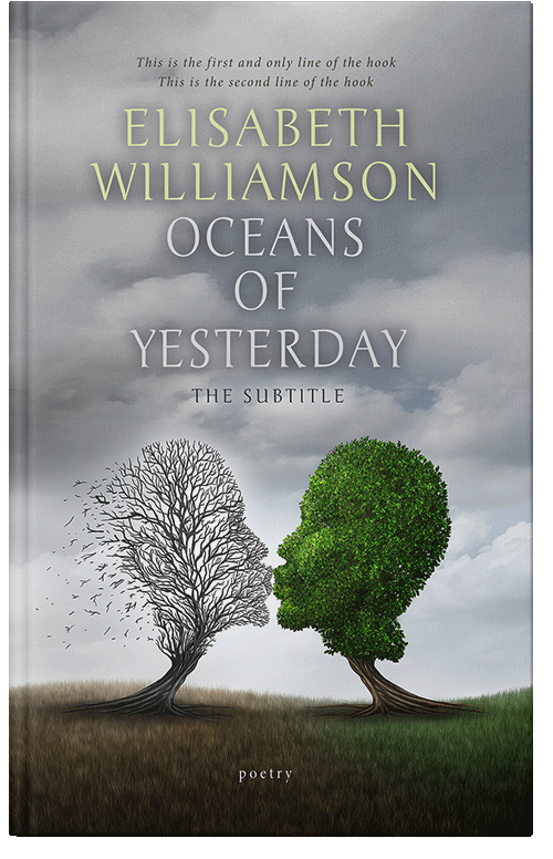 Front view of Premade Fantasy Book Cover - Gray Chateau