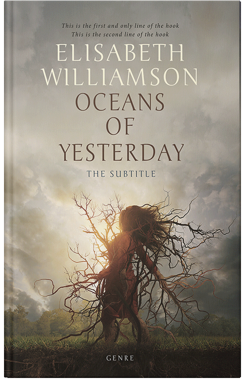 Front view of Premade Surreal Book Cover - Napa