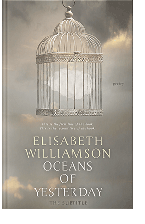 Pre Made Book Cover Zorba