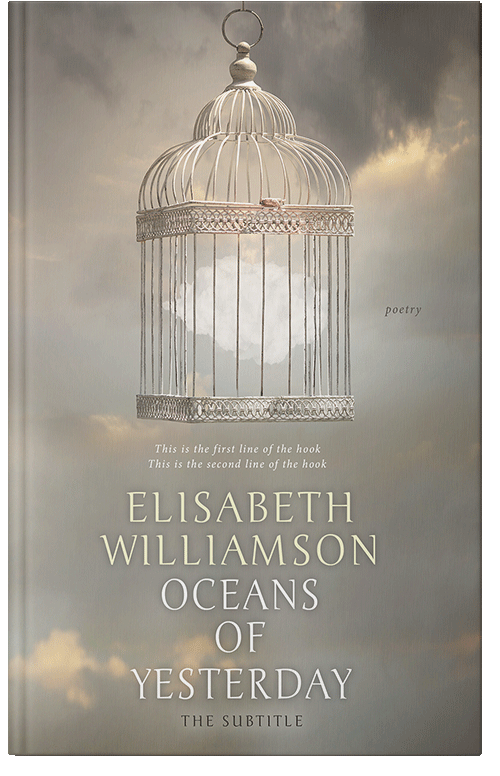 Front view of Premade Abstract Book Cover - Zorba