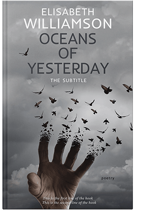 Pre Made Book Cover Oslo Gray