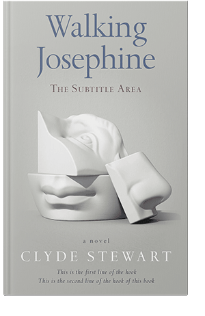 Pre Made Book Cover Celeste