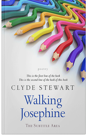 Premade Book Cover Chambray