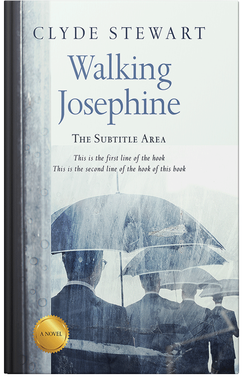 Front view of Premade Business Book Cover - Fiord