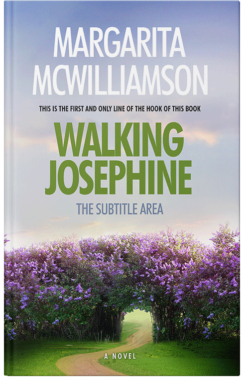 Front view of Premade Fantasy Book Cover - Gray Suit