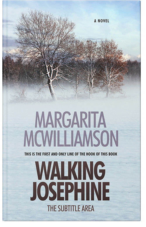 Front view of Premade Literary Fiction Book Cover - Mystic