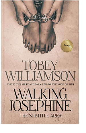 Pre Made Book Cover Rose Fog