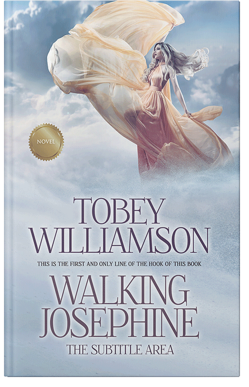 Front view of Premade Fantasy Book Cover - Iron