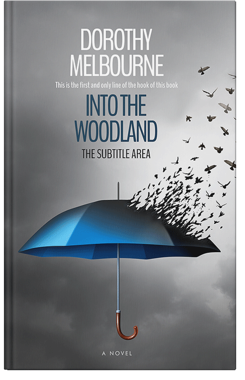 Front view of Premade Business Book Cover - Rolling Stone