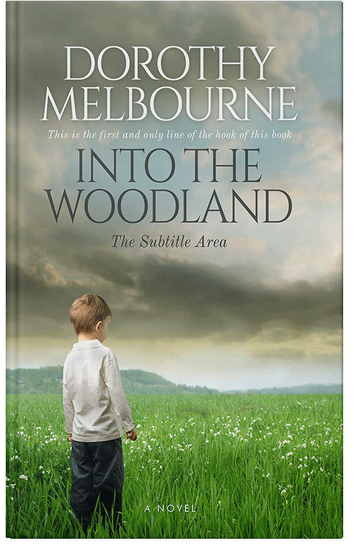 Front view of Premade Literary Fiction Book Cover - Battleship Gray