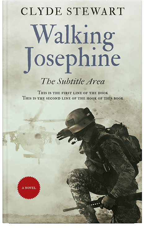 Front view of Moon Mist #876 - Premade Historical Book Cover