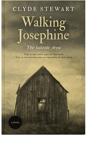 Pre Made Book Cover Judge Gray