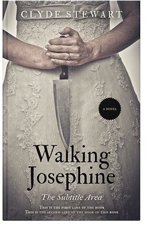 Pre Made Book Cover Nomad