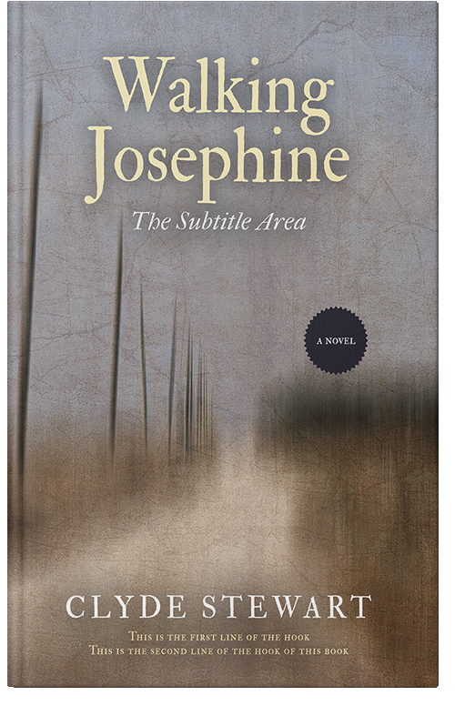 Front view of Premade Surreal Book Cover - Schooner