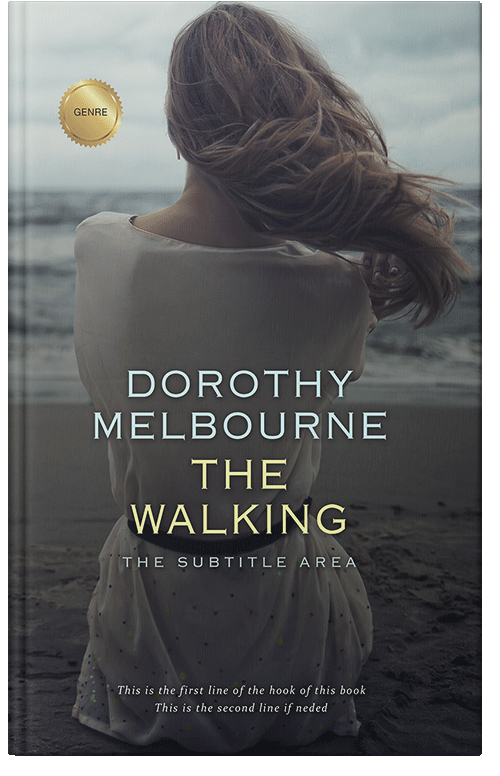 Front view of Premade Literary Fiction Book Cover - Ship Gray